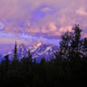 Meet your Posher, Theresa